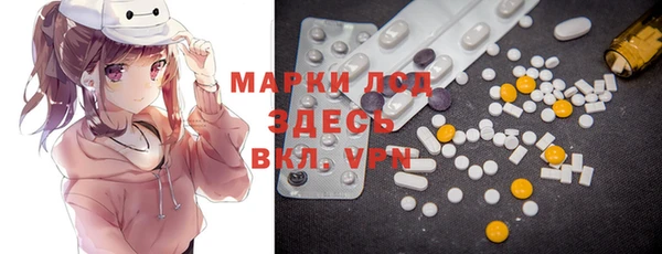 ГАЛЛЮЦИНОГЕННЫЕ ГРИБЫ Аркадак